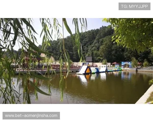 探索金沙娱乐游戏多样玩法让你体验前所未有的娱乐盛宴