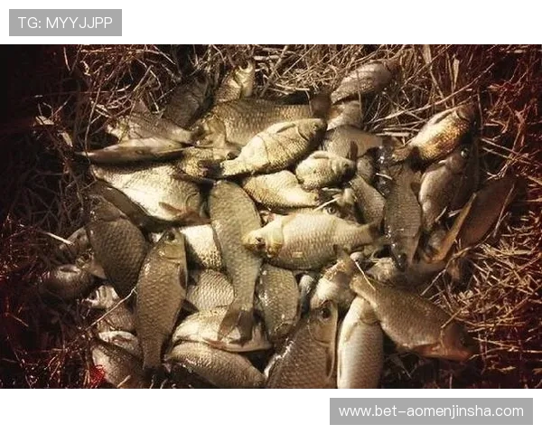 如何安全稳定地进行PA现金下载避免账号风险和资金损失的详细指南