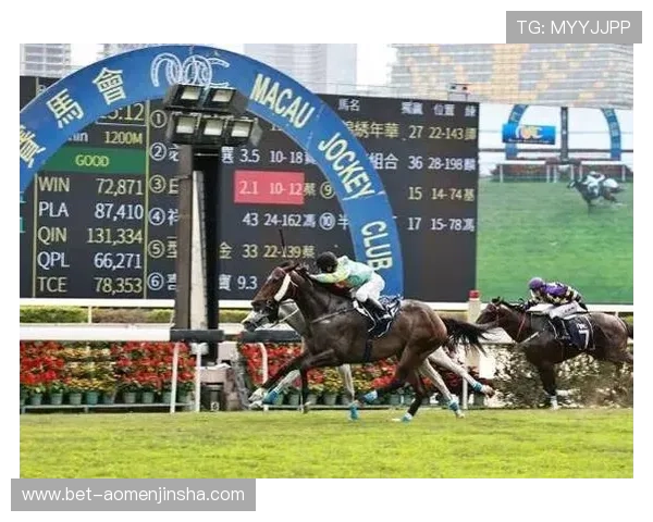 澳门赛马官网直播最新动态及观看指南助你轻松追踪每场精彩比赛